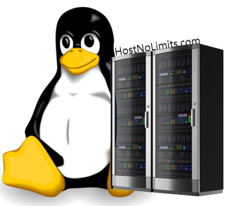 Economy Linux Hosting With cPanel -linux Server cPanel WordPress Web Hosting Best Web Hosting HostNoLimits